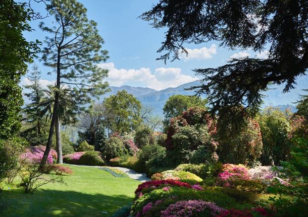 Villa Carlotta Lago di Como