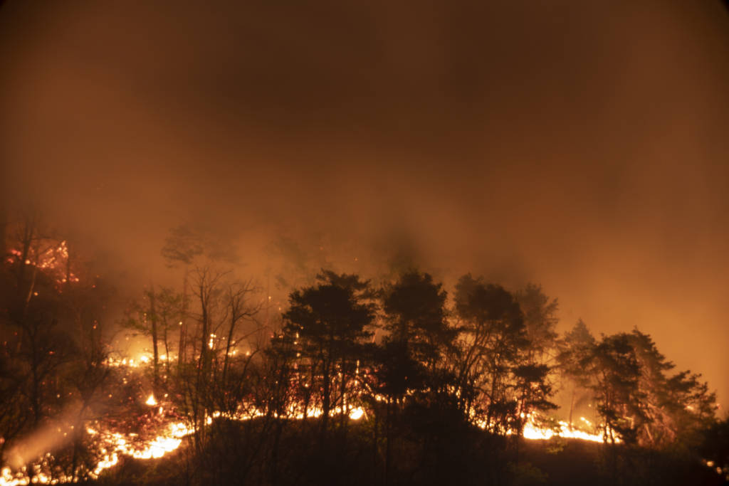 Angera - L'incendio di San Quirico (foto di Davide Saporiti)