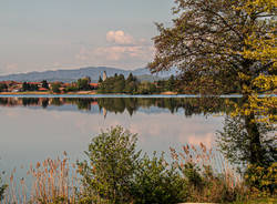 Cadrezzate - Lago di Monate - Vittorio Bolis