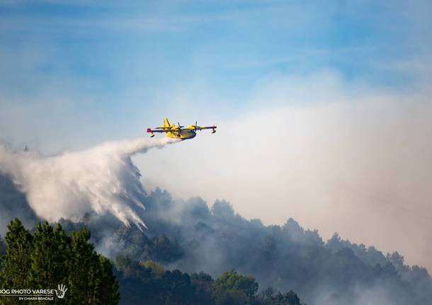 Canadair lago Maggiore 