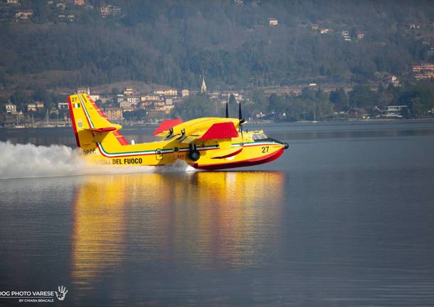 Canadair lago Maggiore