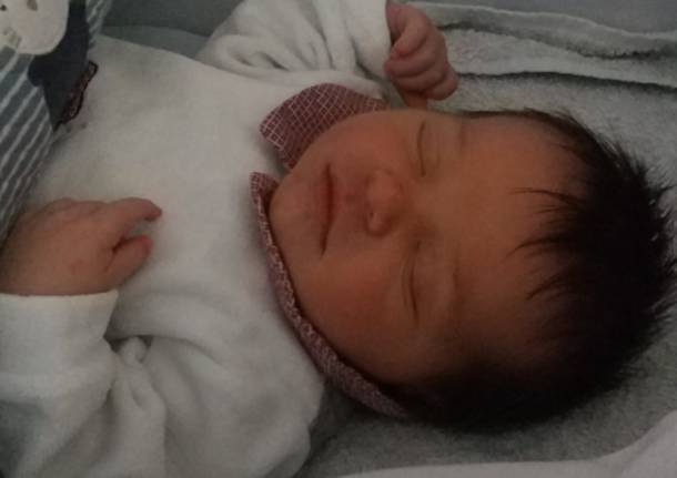 Benvenuto Libero!