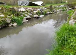 Ancora sversamenti dal depuratore di Cantello al torrente Lanza