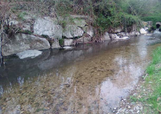 Ancora sversamenti dal depuratore di Cantello al torrente Lanza