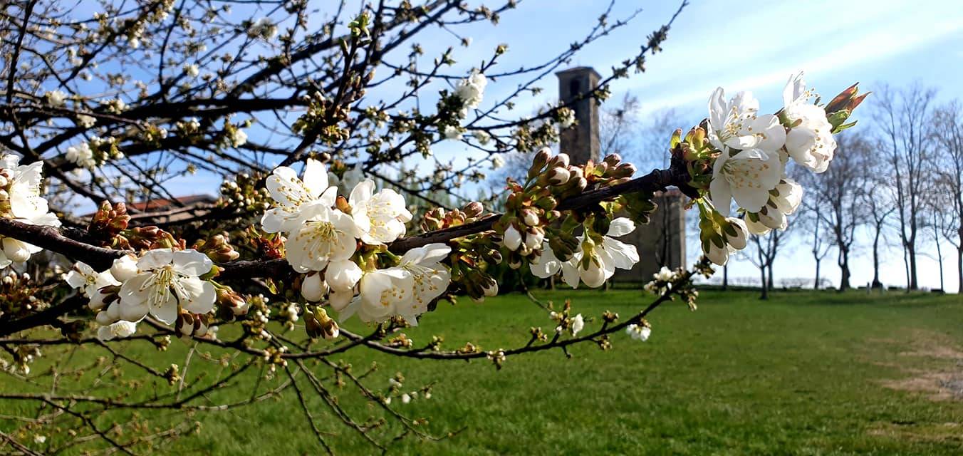 Casciago, Sant'Eusebio si colora di primavera