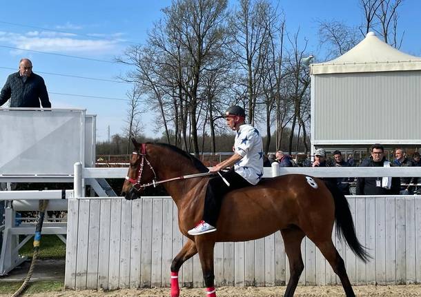 Corse di addestramento del Palio di Legnano, secondo appuntamento