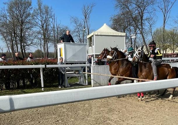 Corse di addestramento del Palio di Legnano, secondo appuntamento