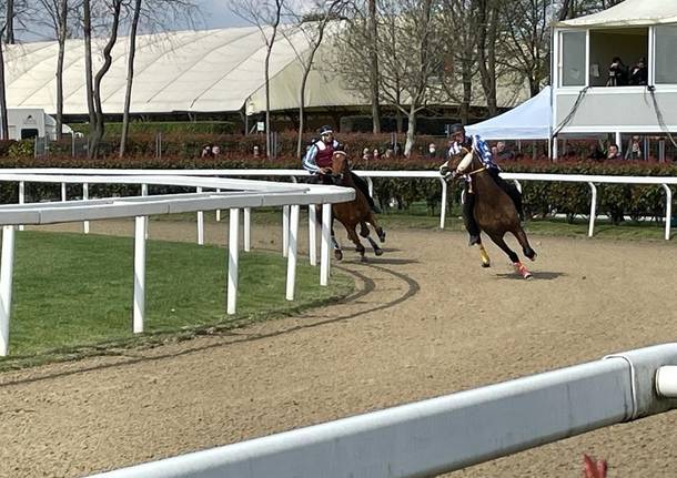 Corse di addestramento del Palio di Legnano, secondo appuntamento