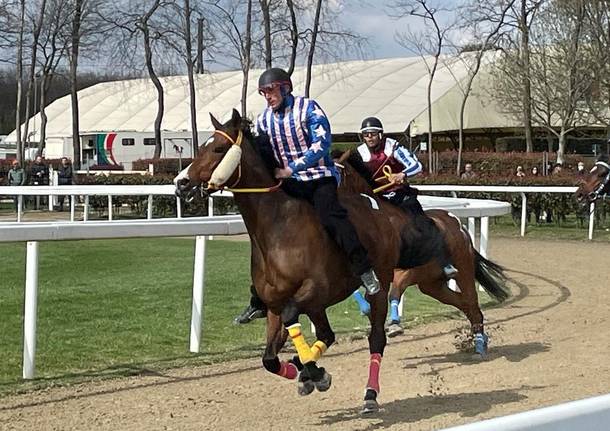 Corse di addestramento del Palio di Legnano, secondo appuntamento