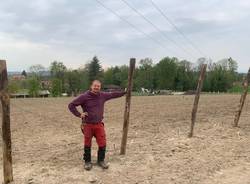 Crescono le vigne a Casciago