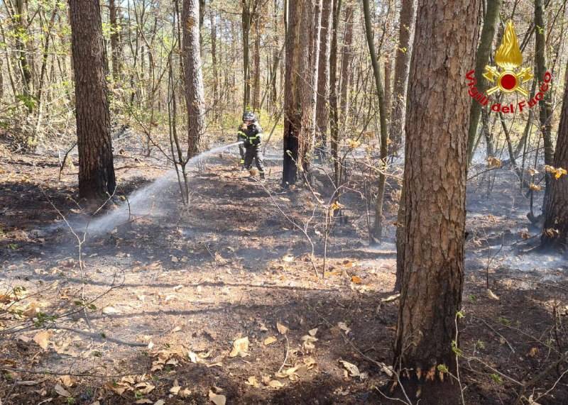 Forte vento sul Varesotto, vigili del fuoco impegnati tra alberi caduti e incendi