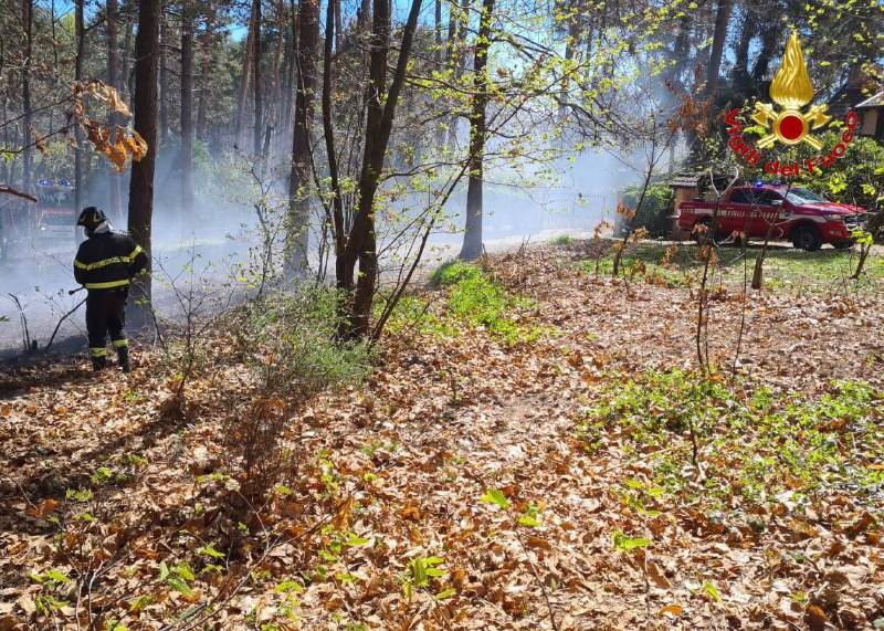 Forte vento sul Varesotto, vigili del fuoco impegnati tra alberi caduti e incendi