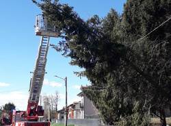 Forte vento sul Varesotto, vigili del fuoco impegnati tra alberi caduti e incendi