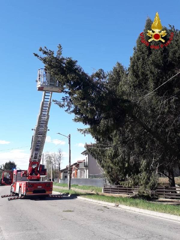 Forte vento sul Varesotto, vigili del fuoco impegnati tra alberi caduti e incendi
