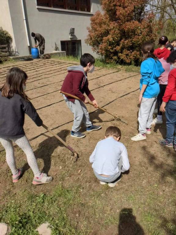 I bambini coltivano orto e mirtilli a capolago