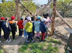 I bambini coltivano orto e mirtilli a capolago