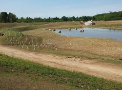 Il Parco Lura festeggia tre anni di Prati del Ceppo