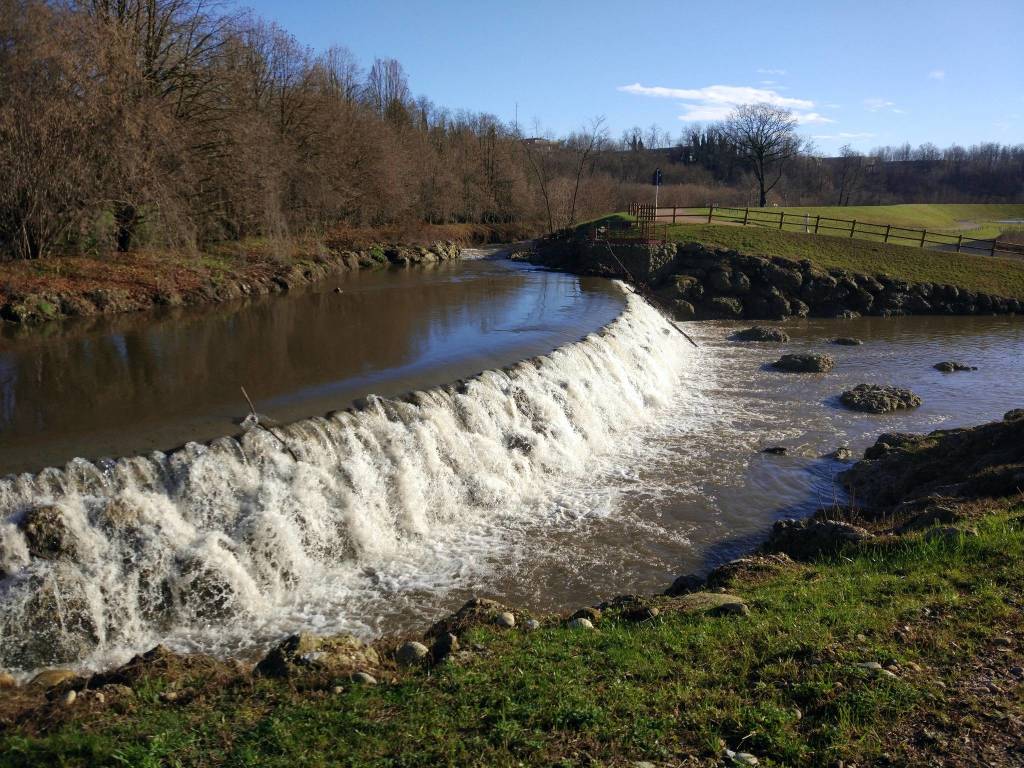 Il Parco Lura festeggia tre anni di Prati del Ceppo