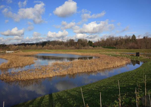 Il Parco Lura festeggia tre anni di Prati del Ceppo