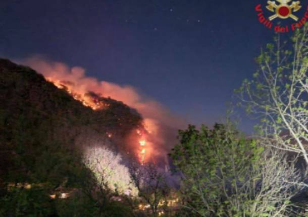Incendio boschivo