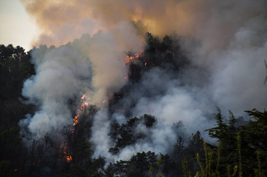 Le fiamme a San Quirico ritratte da Erika Zolli