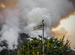 Le fiamme a San Quirico ritratte da Erika Zolli