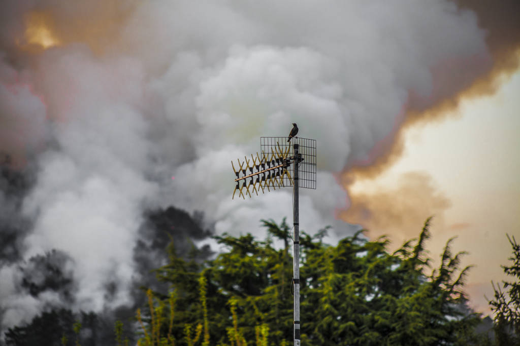 Le fiamme a San Quirico ritratte da Erika Zolli