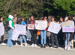 Manifestazione degli studenti dello Stein di Gavirate