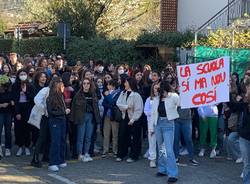 Manifestazione degli studenti dello Stein di Gavirate