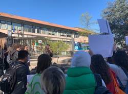 Manifestazione degli studenti dello Stein di Gavirate