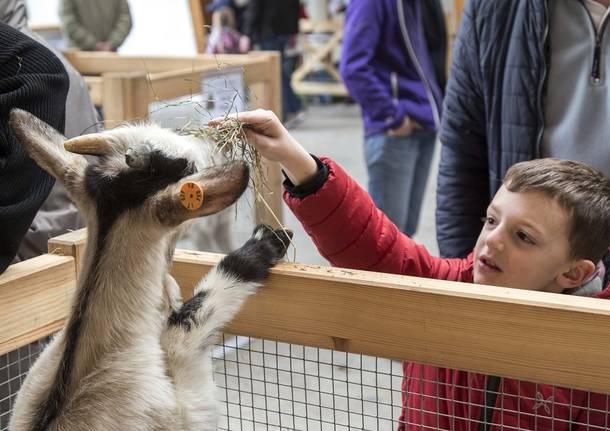 Pasqua in Val Vigezzo