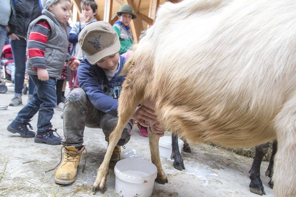 Pasqua in val Vigezzo