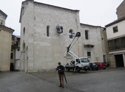Rondone pallido a Varese 