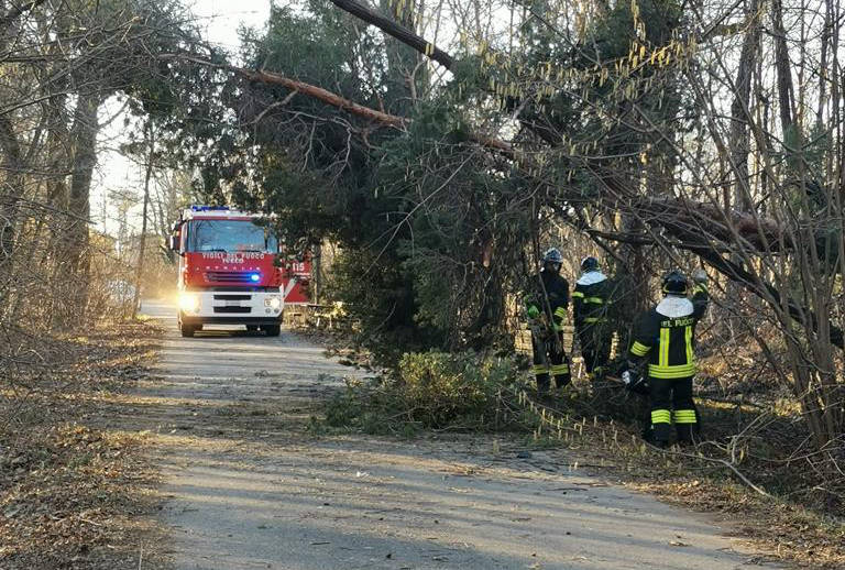 Sabato 9 aprile, raffiche di vento nell'Alto Milanese 