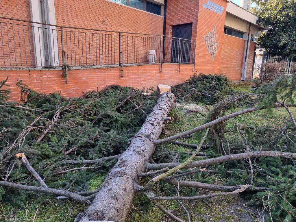 Sabato 9 aprile, raffiche di vento nell'Alto Milanese 