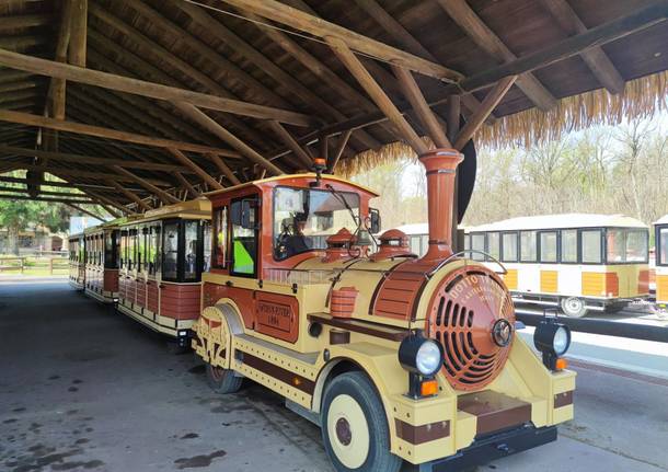 Safari Park Pombia - giornata dedicata ai bambini ucraini 