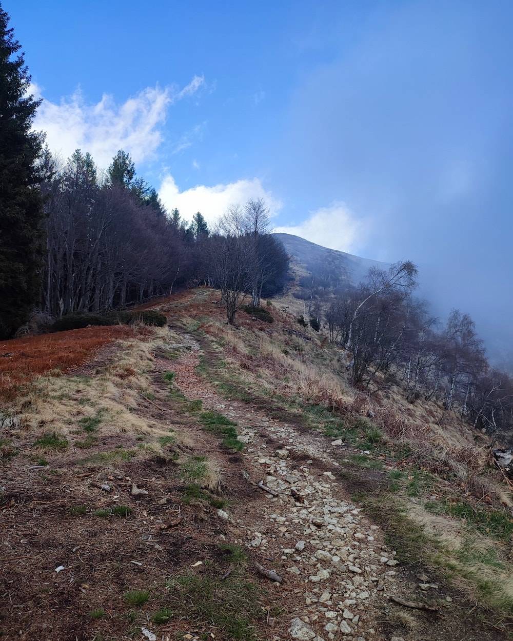 VA in giro, tappa 3: da Monteviasco al Rifugio Campiglio di Pradecolo a piedi