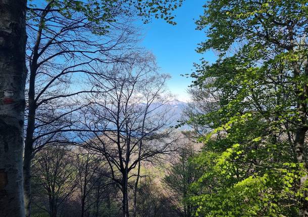 Va in giro, tappa 4 da Pradecolo a Luino