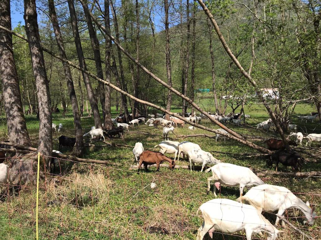 VA in giro tappa 5 Laveno Luino
