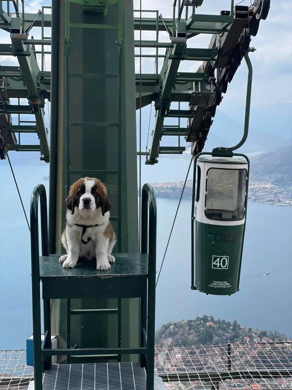 Zeus Funicolare del Lago Maggiore 