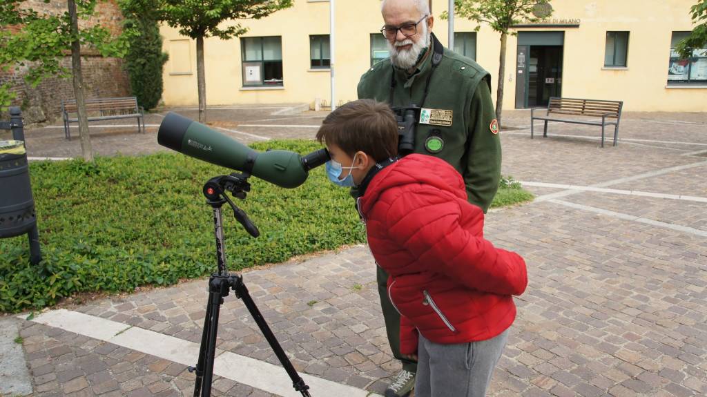 A Cislago bambini e maestre alla scoperta di gheppi e rondoni, ospiti speciali del castello di Cislago