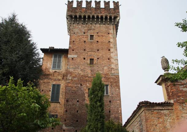 A Cislago bambini e maestre alla scoperta di gheppi e rondoni, ospiti speciali del castello di Cislago