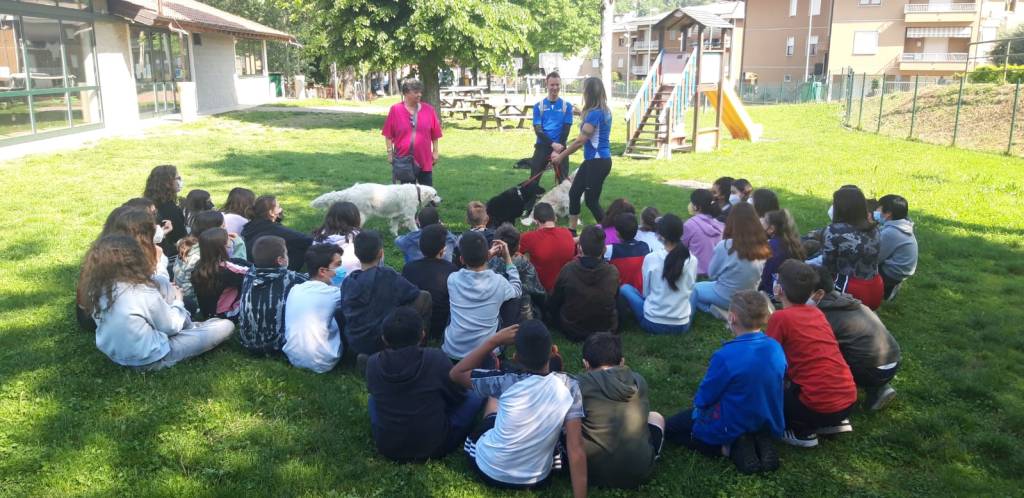 A Cittiglio il pedibus e la lezione con tre Labrador 