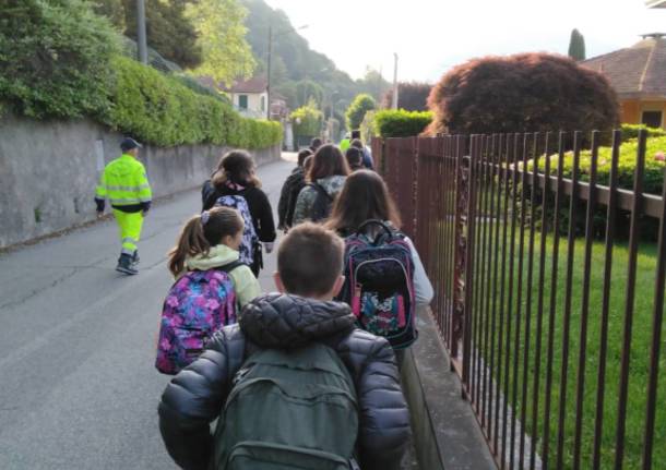 A Cittiglio il pedibus e la lezione con tre Labrador 