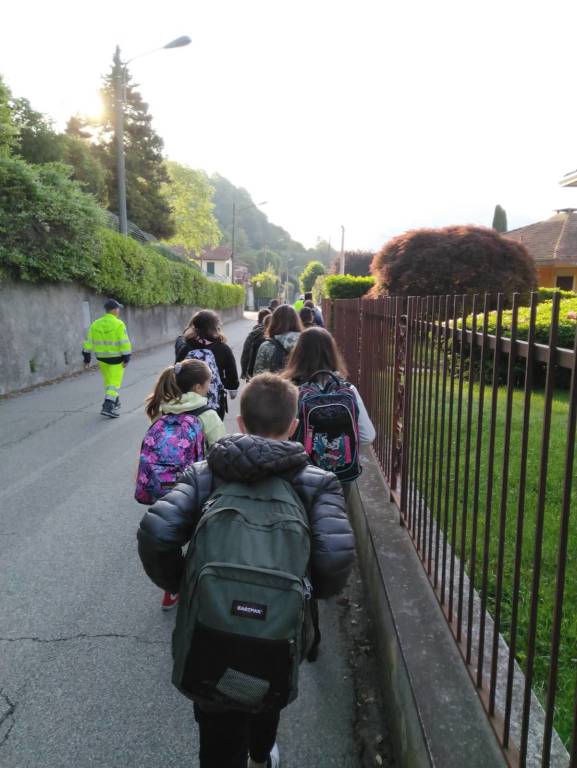 A Cittiglio il pedibus e la lezione con tre Labrador 