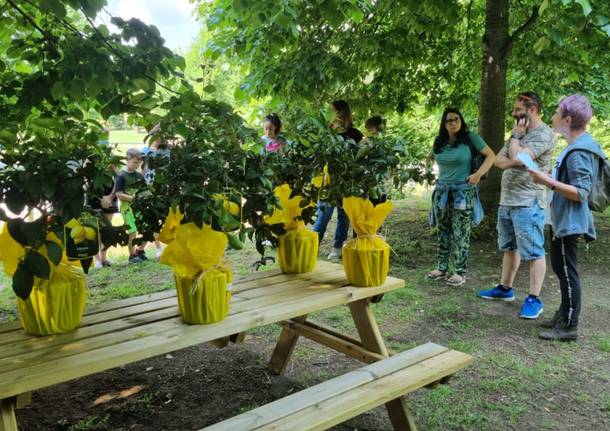 A Leggiuno la Giornata del Verde Pulito e la premiazione del concorso fotografico 