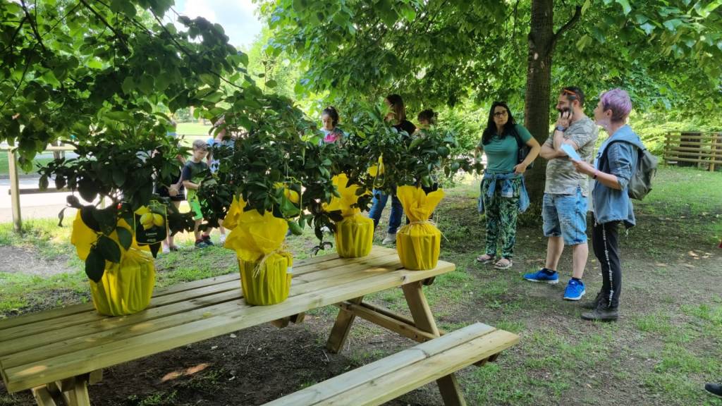 A Leggiuno la Giornata del Verde Pulito e la premiazione del concorso fotografico 