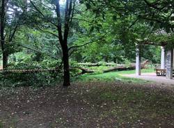 albero caduto parco castello legnano