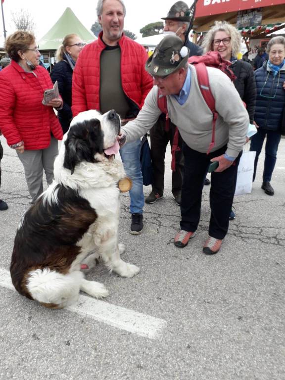 Alpini varesini in trasferta a Rimini per l'Adunata Nazionale numero 93