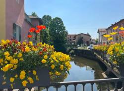 besozzo 